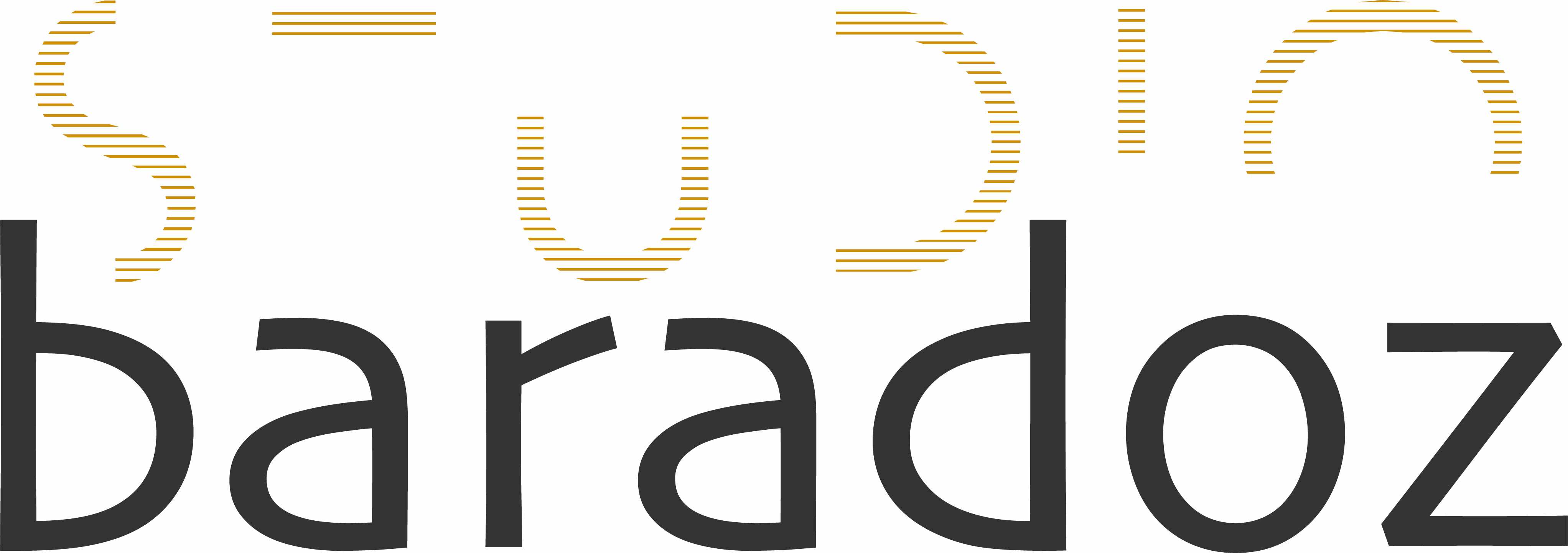 Logo Studio Baradoz